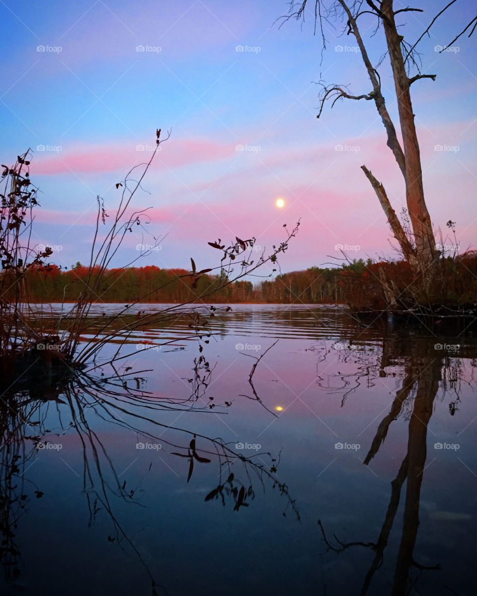 Lake and moon