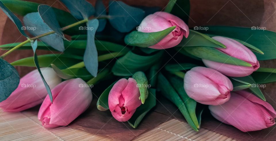 tulips