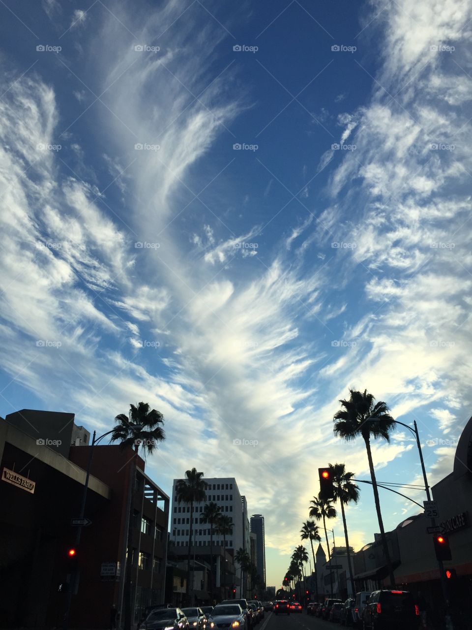 Sometimes rush hour is beautiful. 