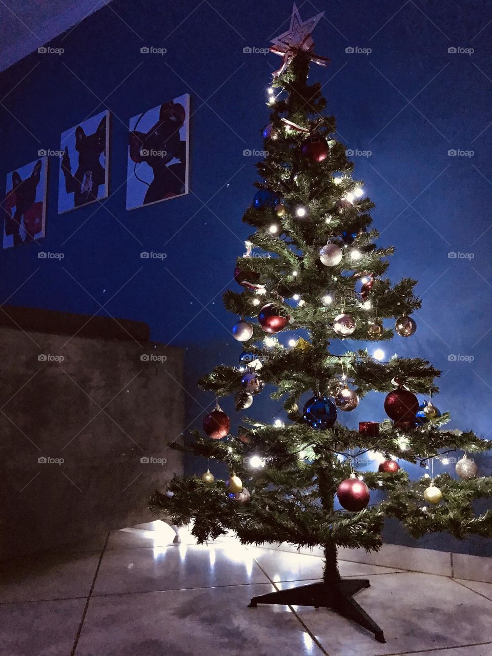 Christmas tree house