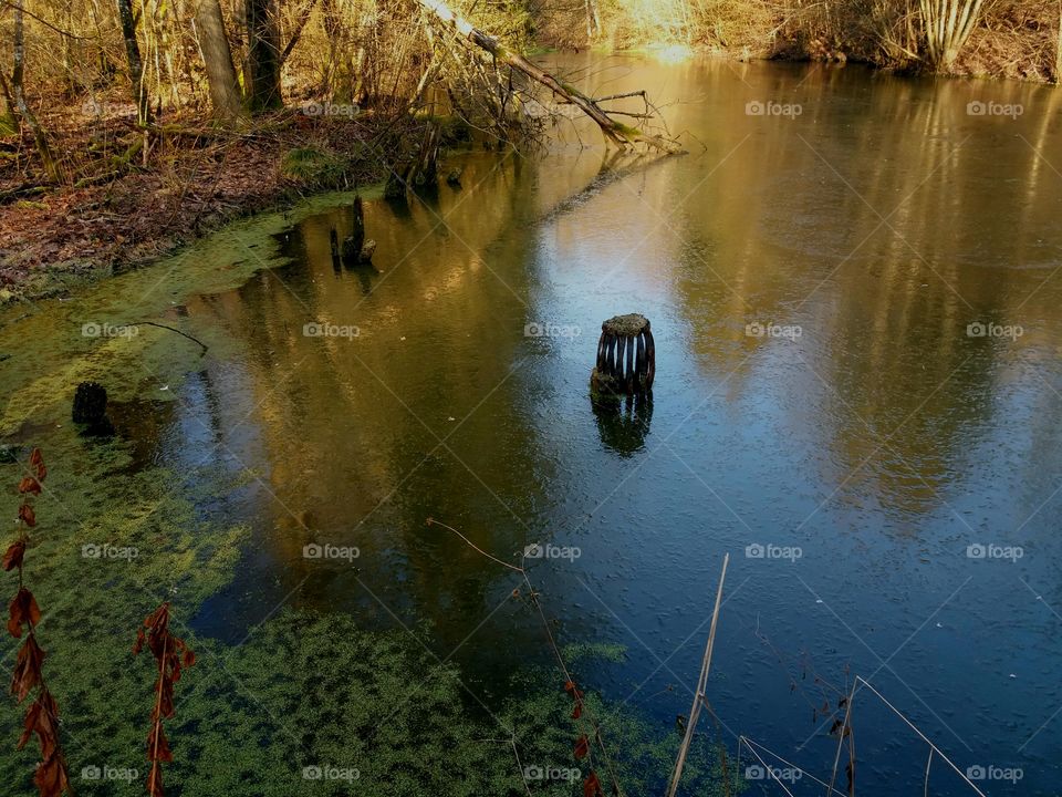 winter pond