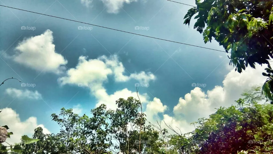clouds