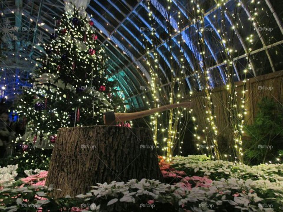 Phipps Conservatory at Christmas