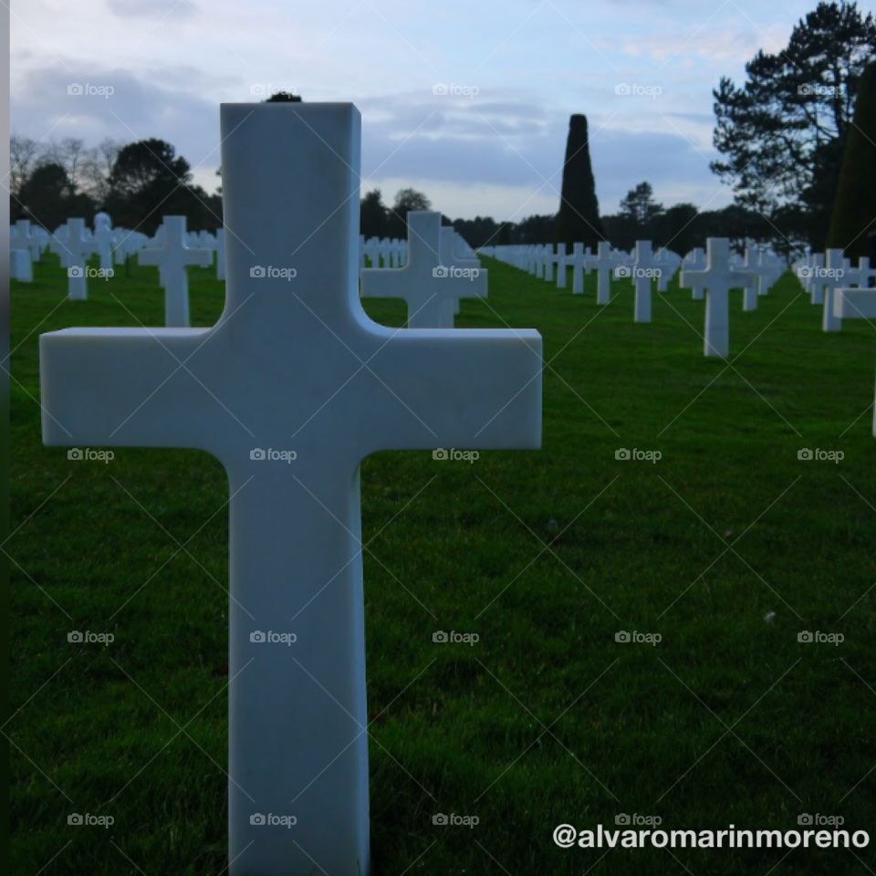 Crosses formed in line one next to the other in the cemetery of Normandie, France