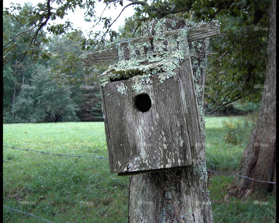 Birdhouse on a Country Fence