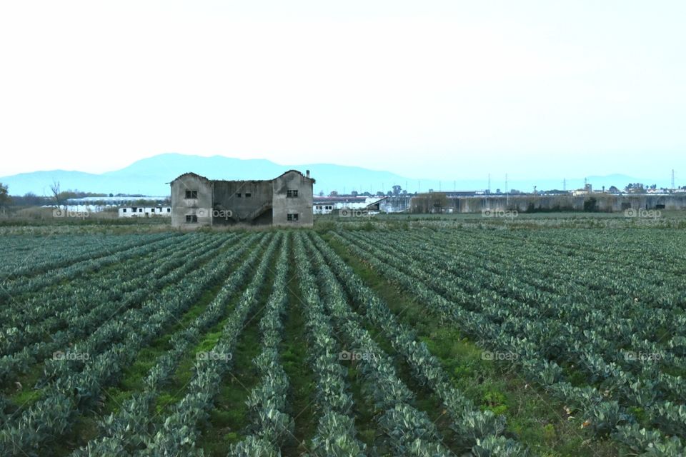 old house on a country side