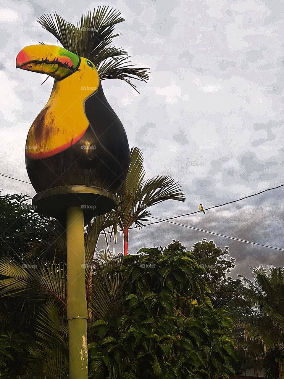 Big Tucan