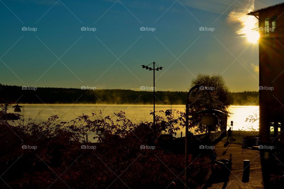 Höstmorgon. Höstmorgon