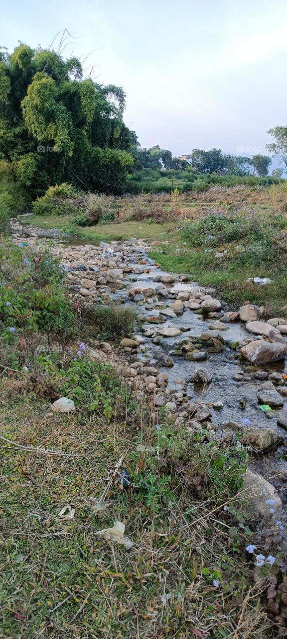 beautiful water rever