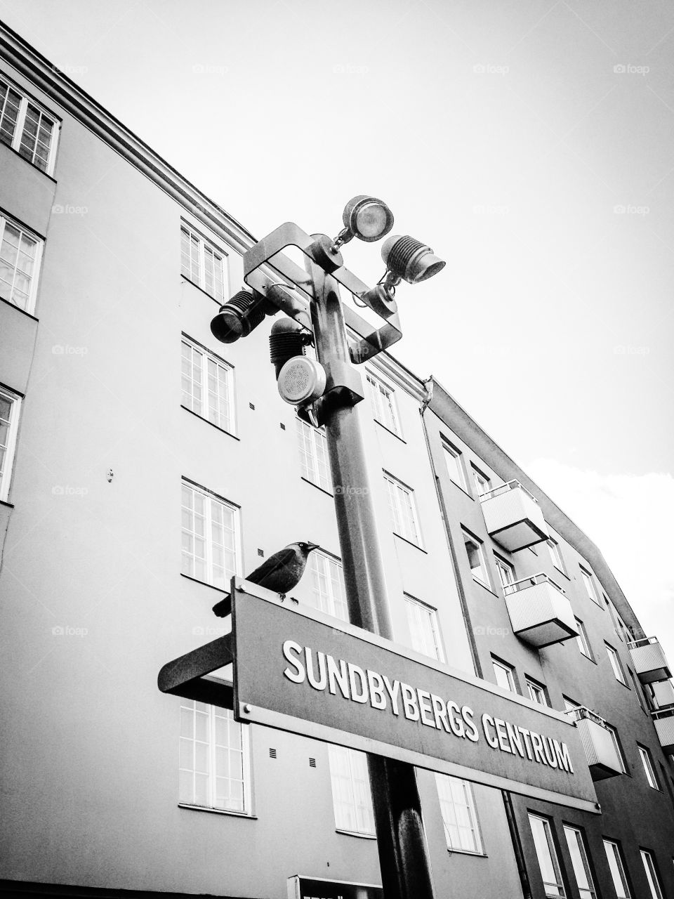 the crow and the sign