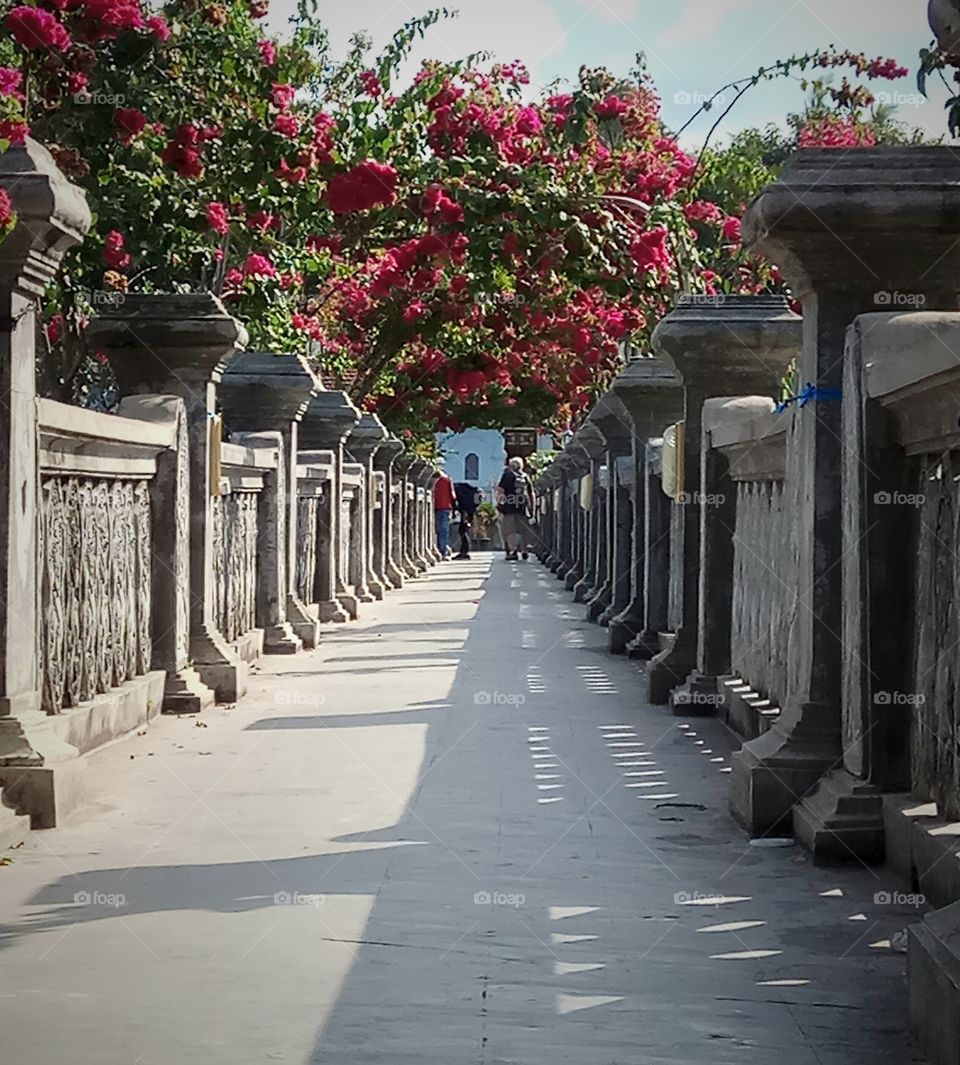Distant view of people on bridge in garden