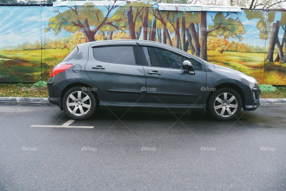 car on a background of a wall with graffiti