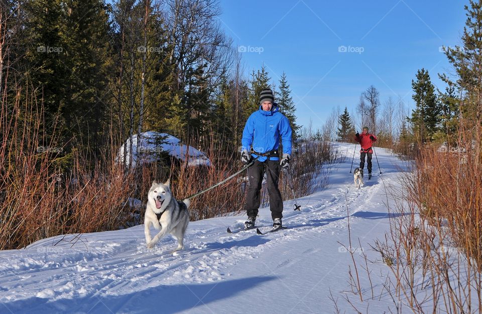 Man and woman skiing with their dog