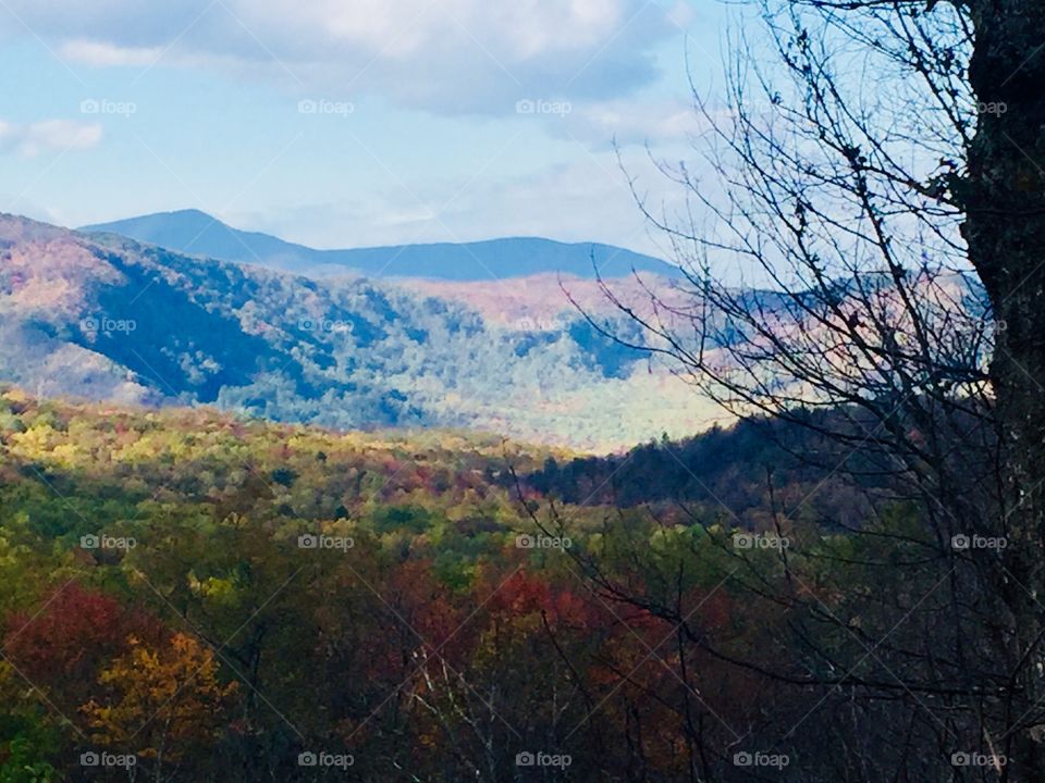 Fall Smoky Mountains