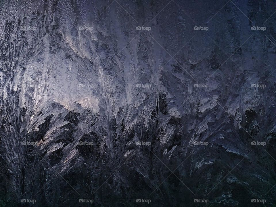 Frost ferns on window. Beautiful winter