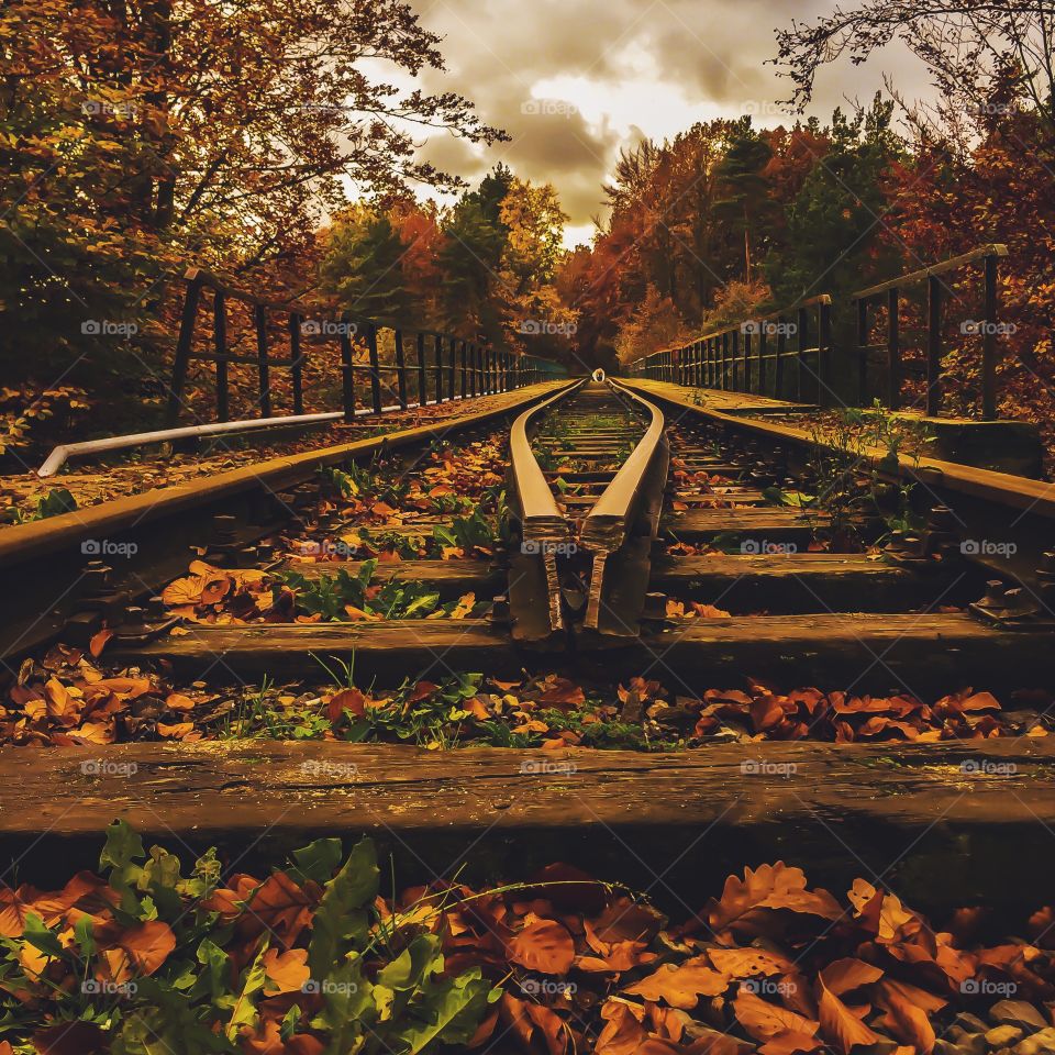 Railway track in autumn