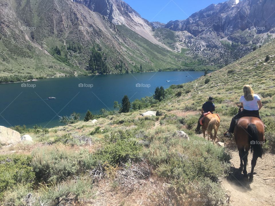 Horseback riding 