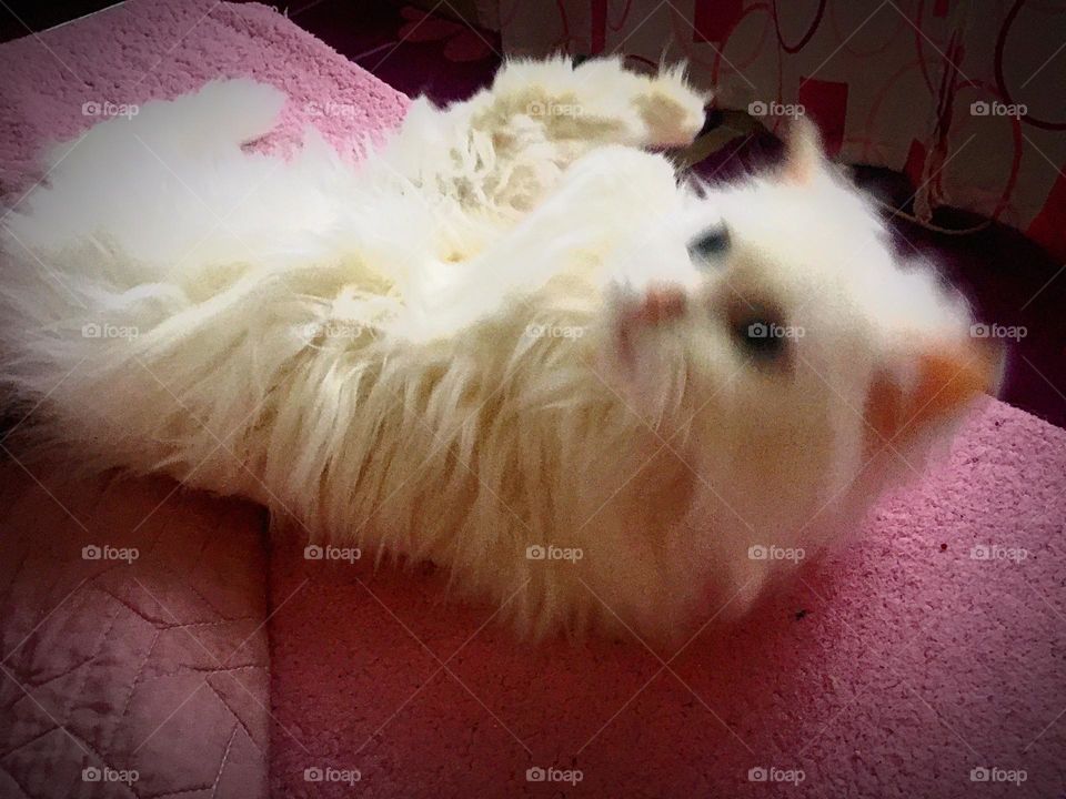 No calm down never 😅