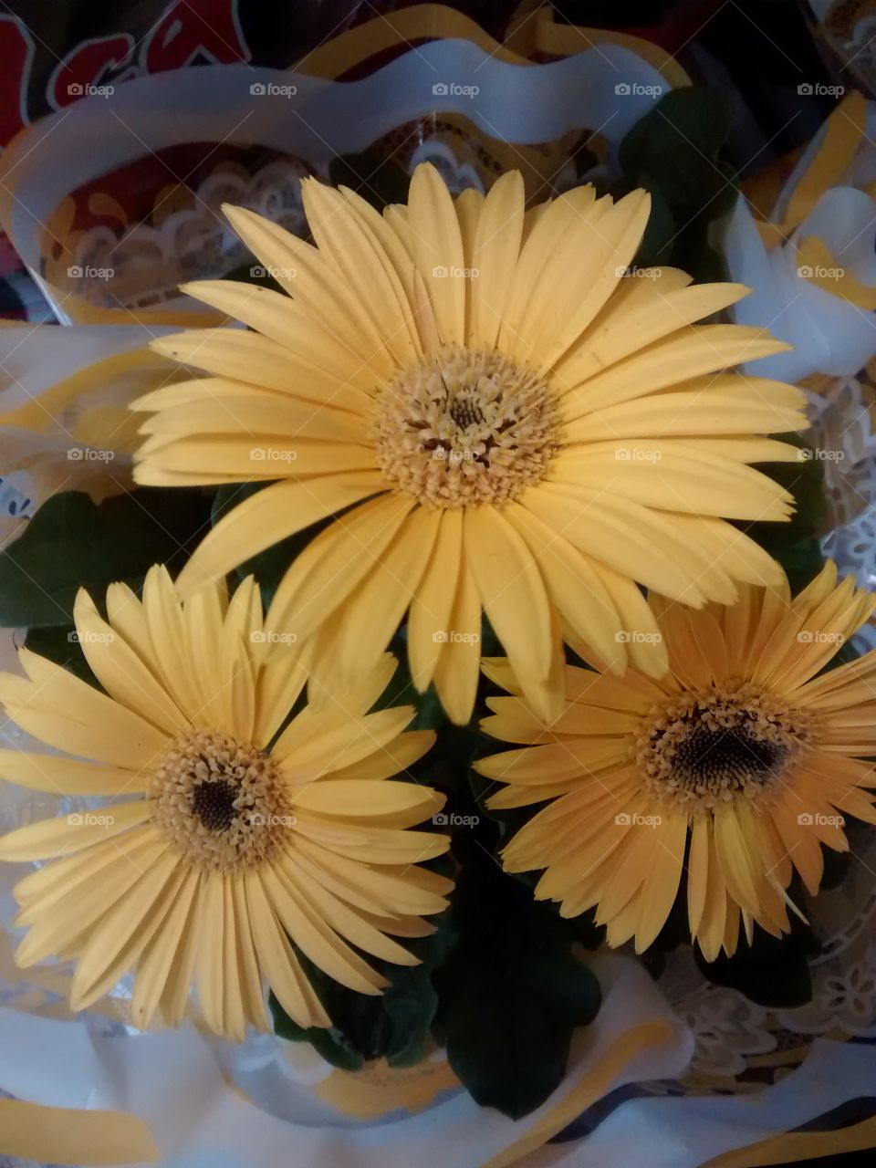 amarelo flower