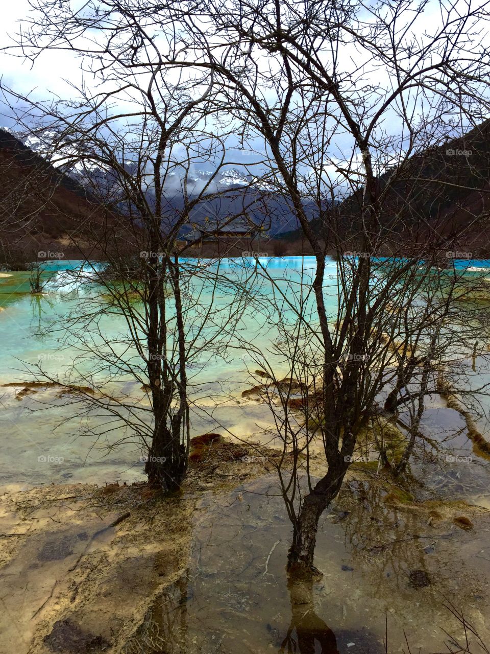 Huanglong natural park, jiuzhaigou China 