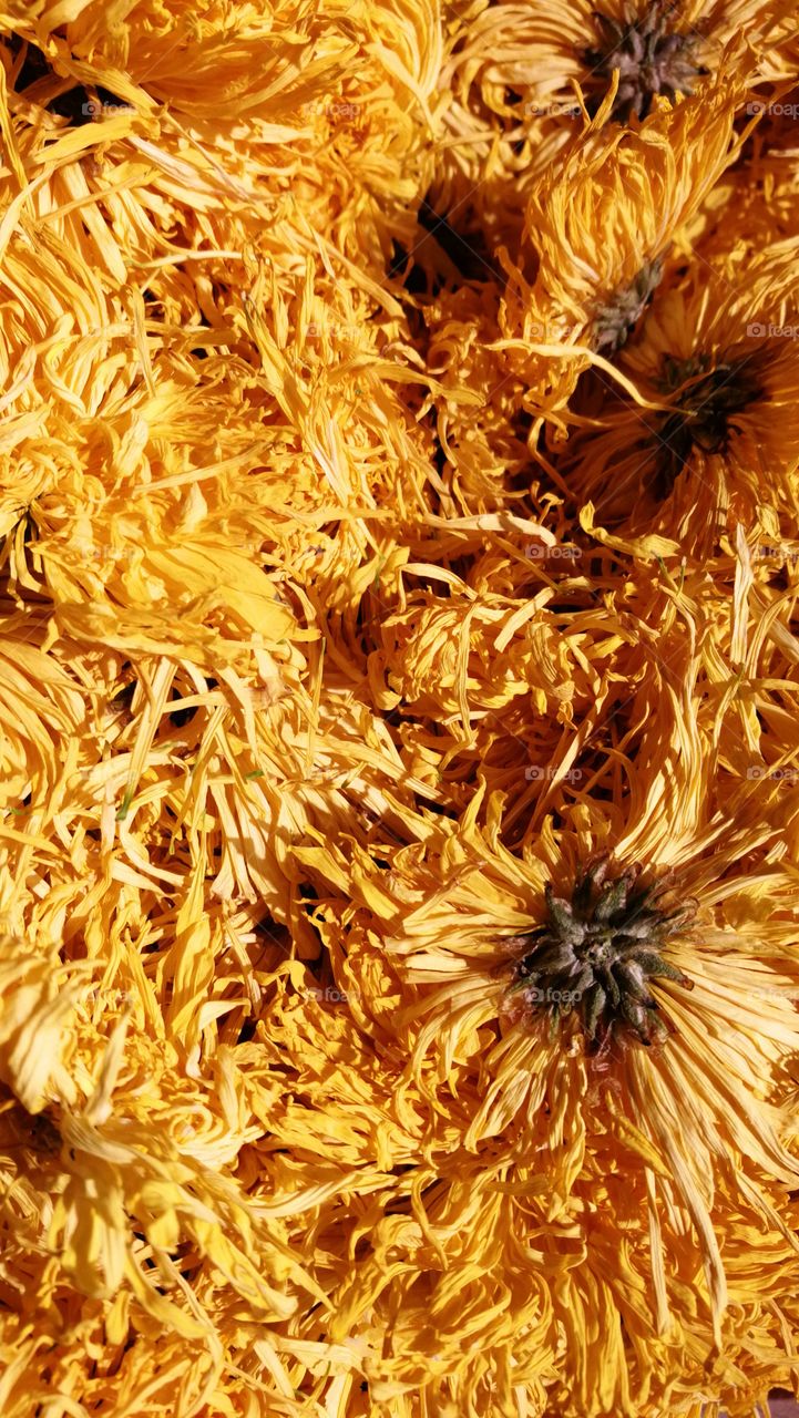 Dried flowers for tea