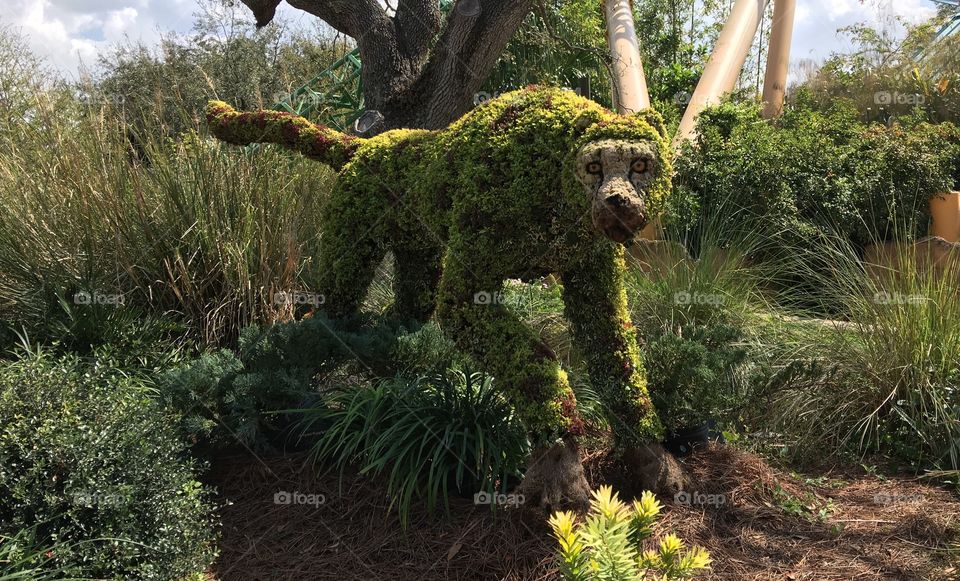 Cheetah Topiary 