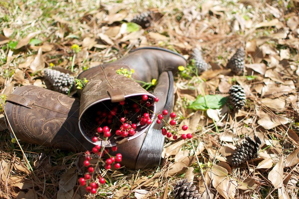 Boots and Berries 