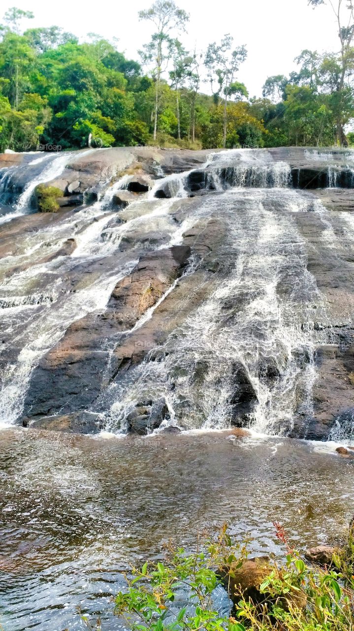 Atlantic Forest with a magnificent waterfall.