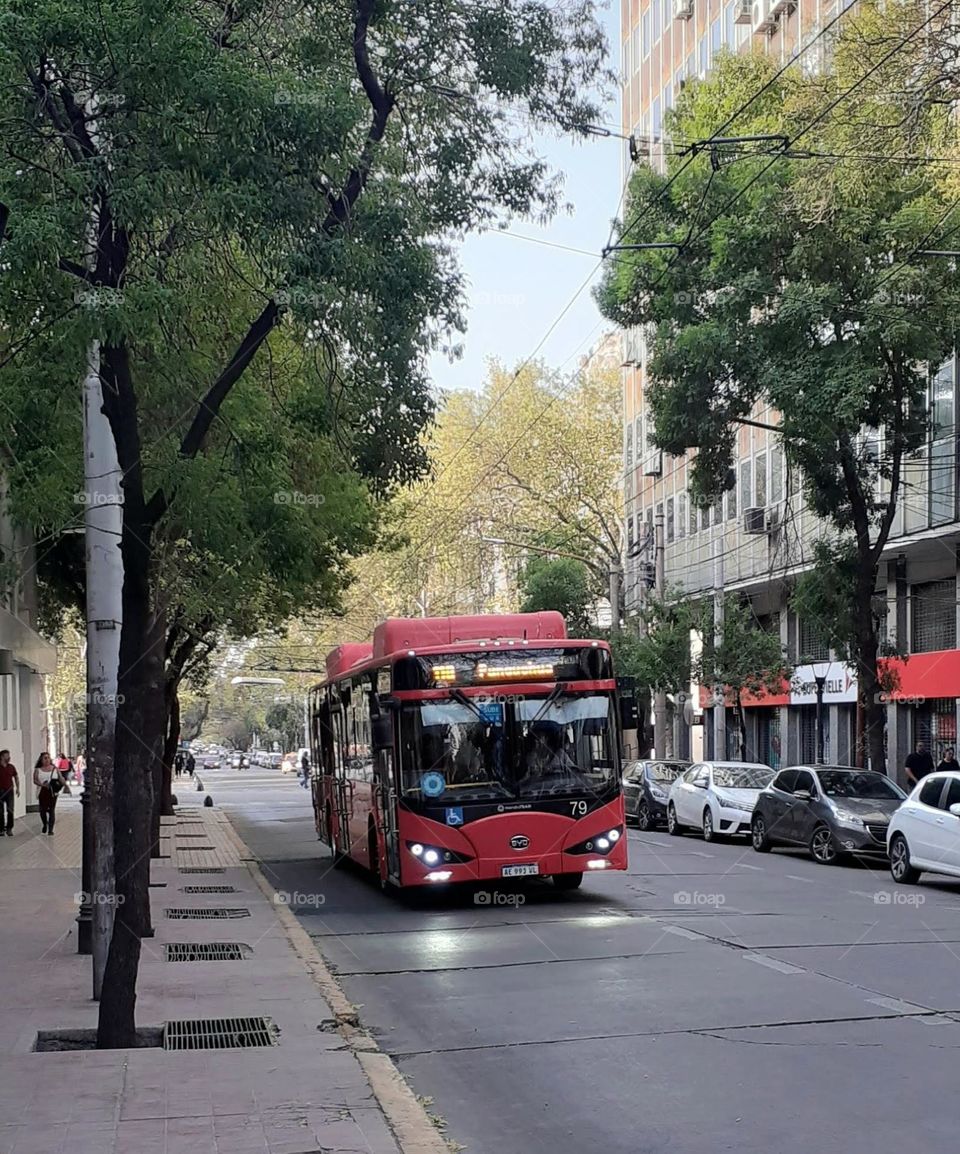 transporte público