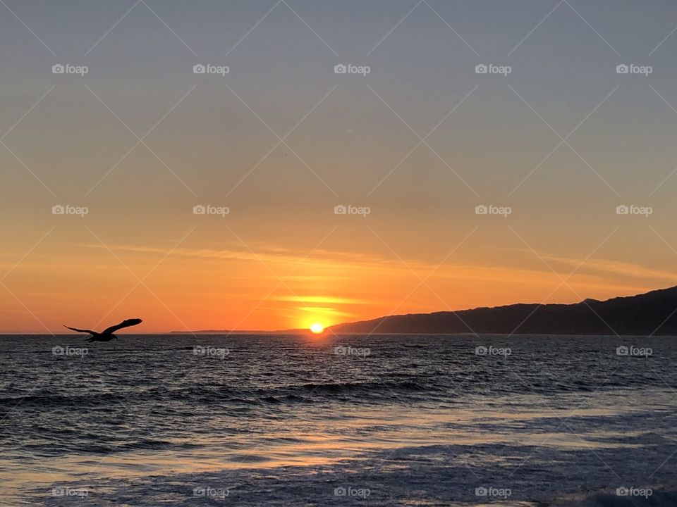 Serene Santa Monica Sunset 