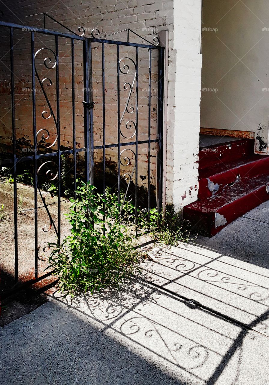 Iron gate across the alley