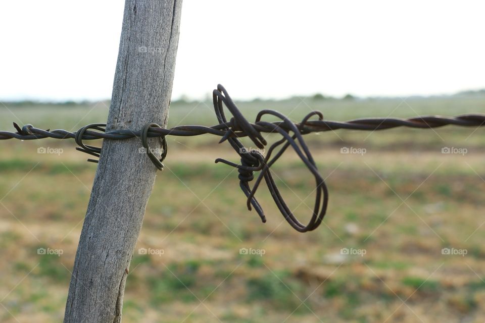 Barbed wire 