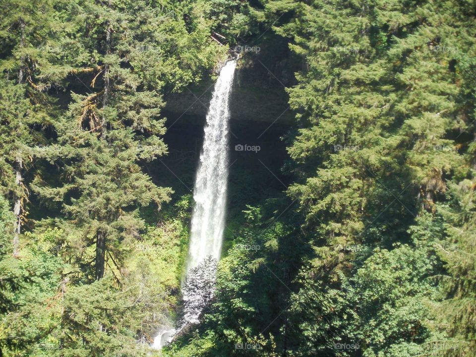 Waterfall at Silver Creek Falls Park Oregon, forest