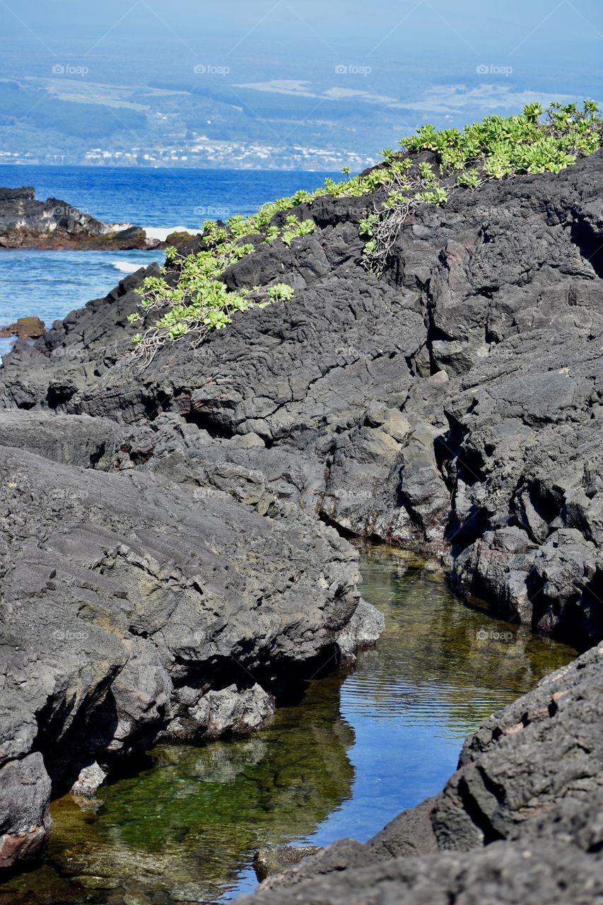 Tidepools with the volcano in the distance at Richardson Ocean Park in Hilo, Hawaii