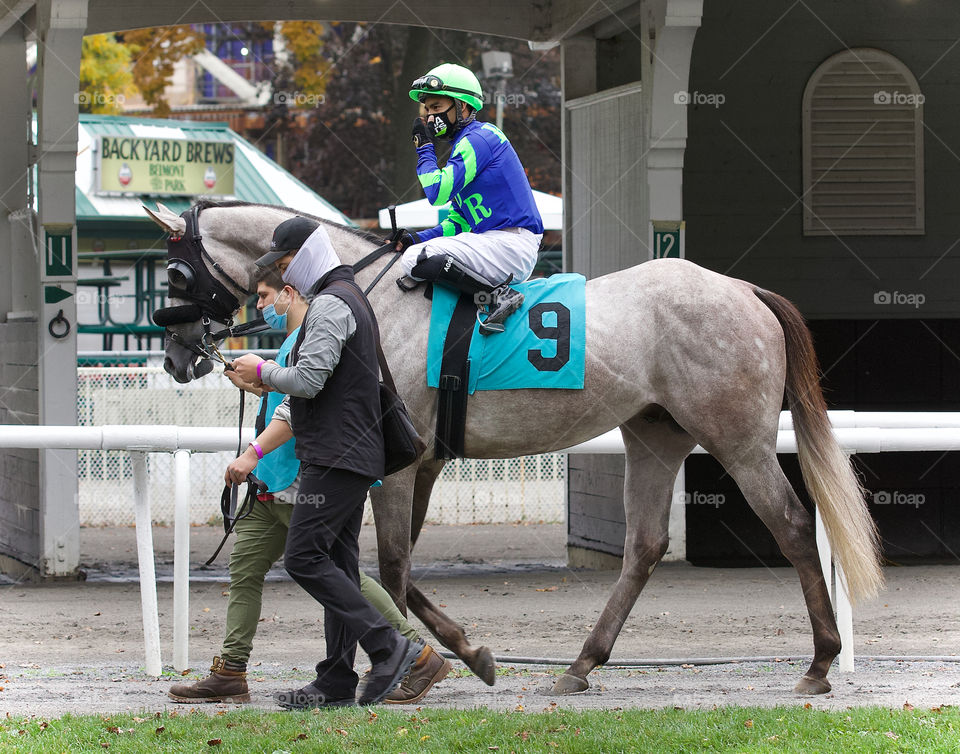 Racing from Belmont Park