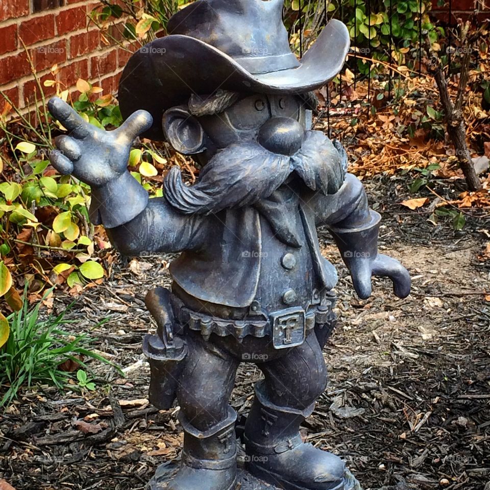 Texas Tech red Raiders 