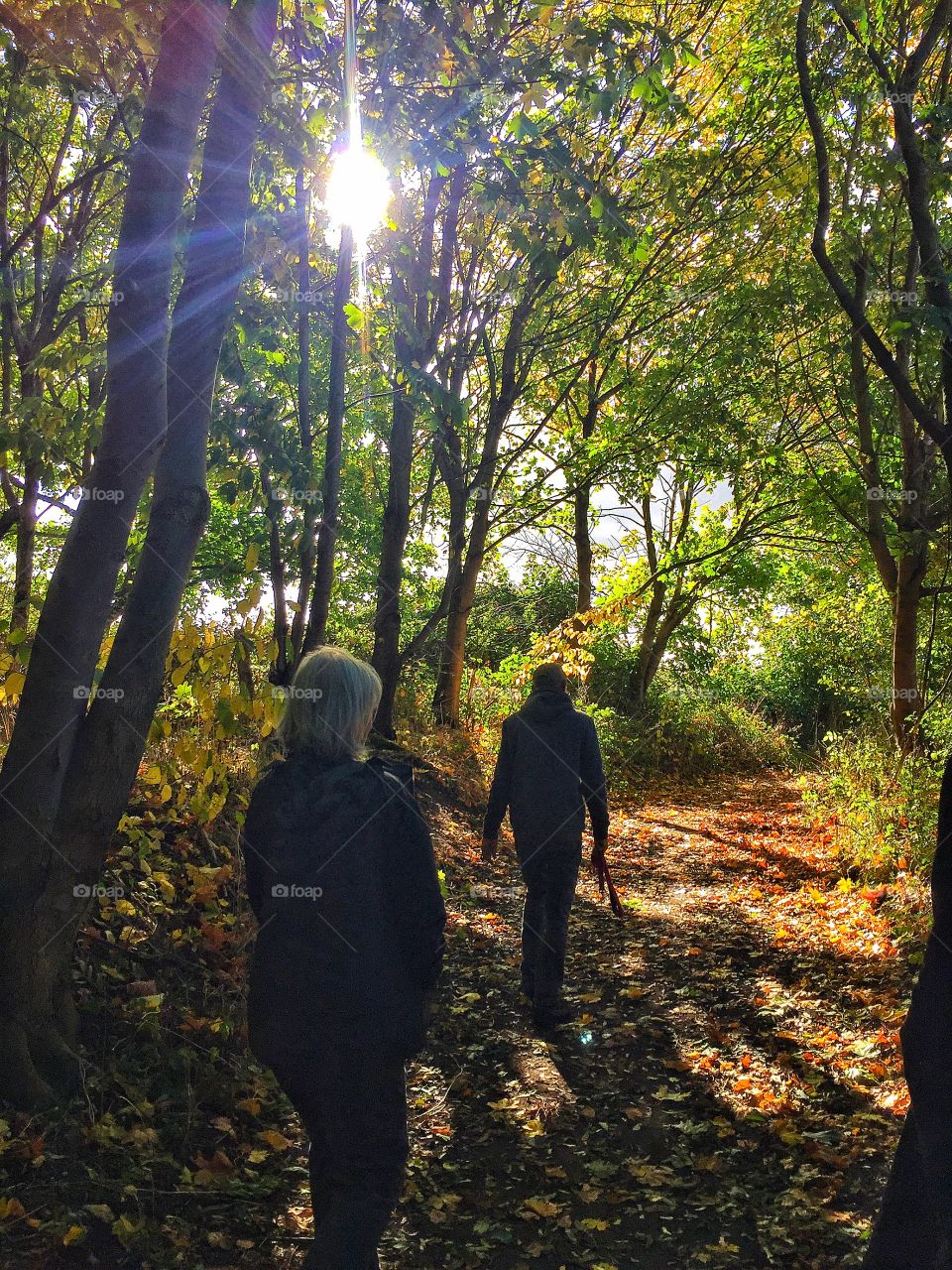 Autumn walk 