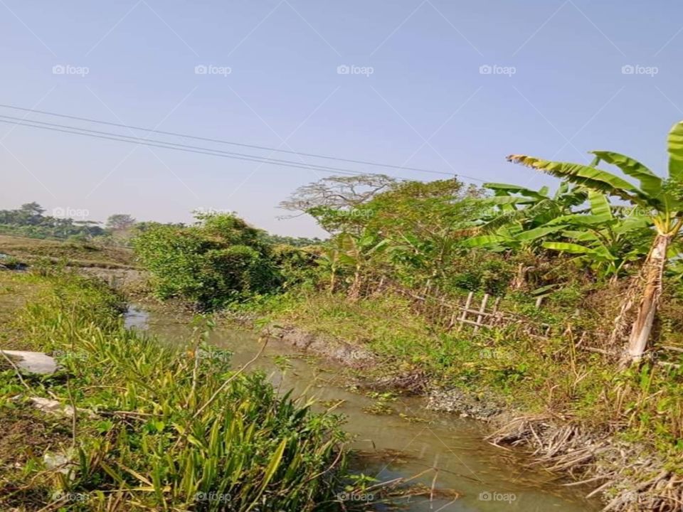 Landscape canal Picture