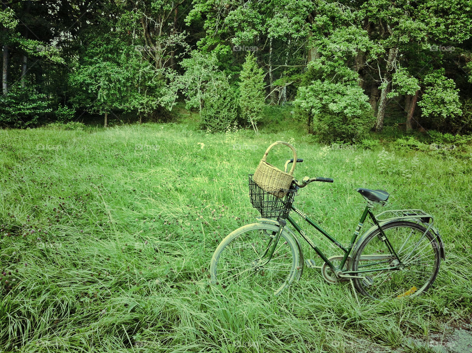 bicycle green sweden grass by miamania