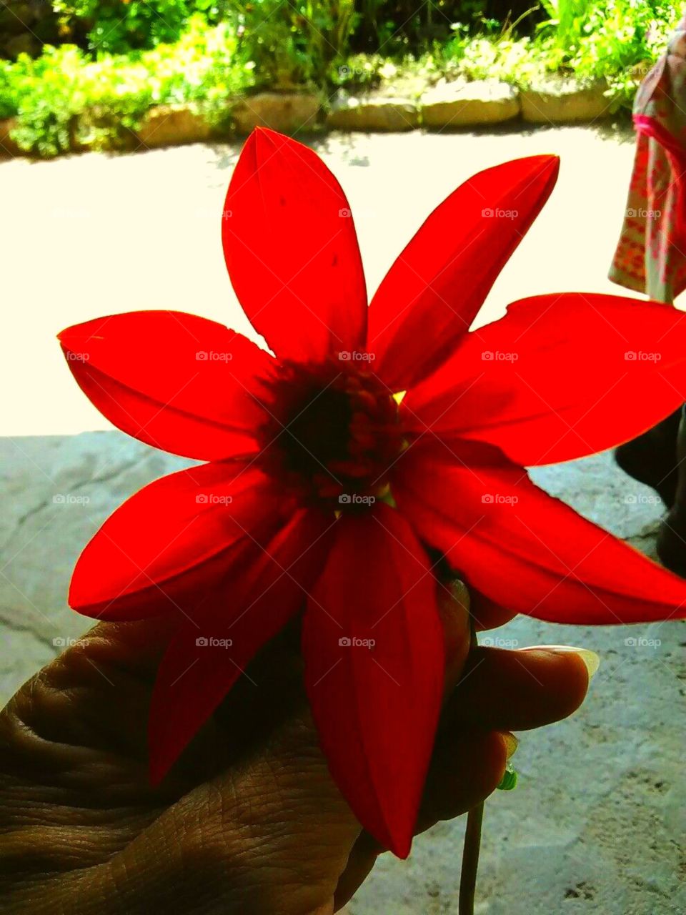 Huna ermosa flor roja

