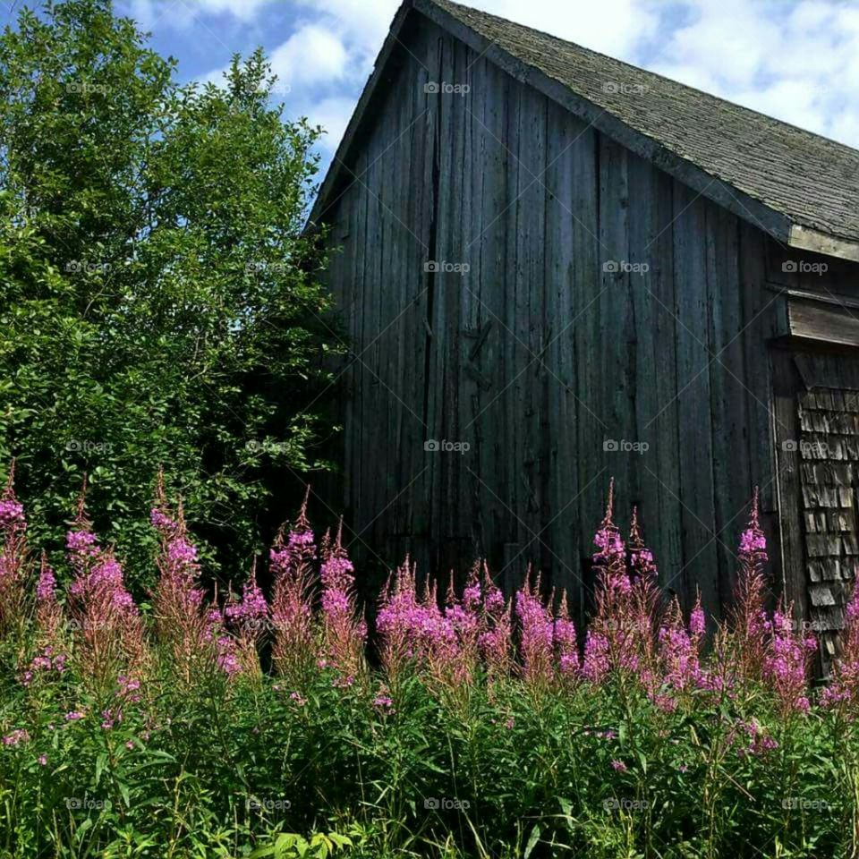 Susan's photo.  Beautiful scenery in Maine