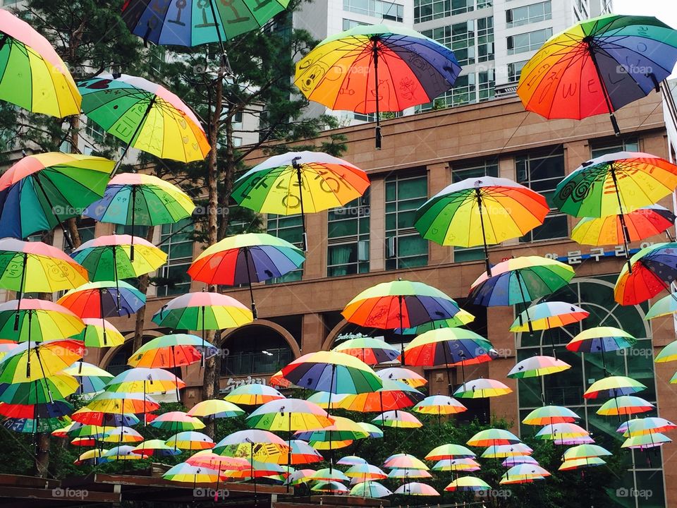 Umbrellas