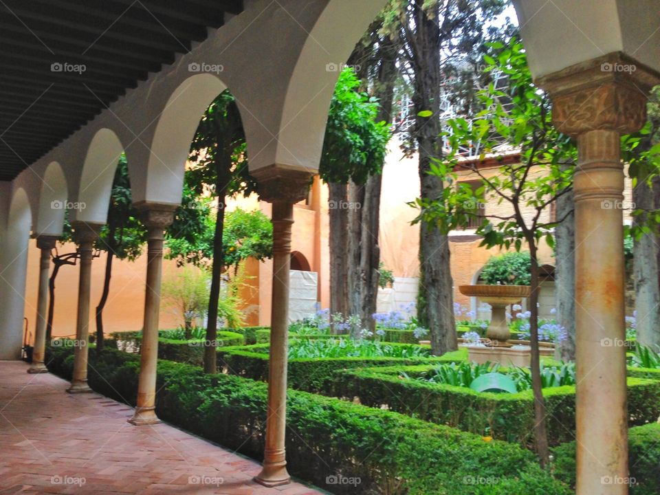 the generalife gardens at the alhambra, granada
