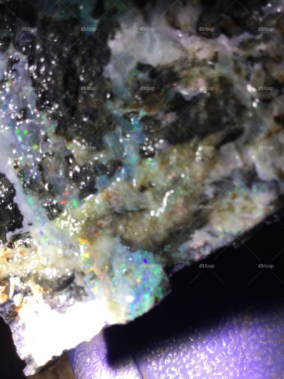 Coolgardie black opal