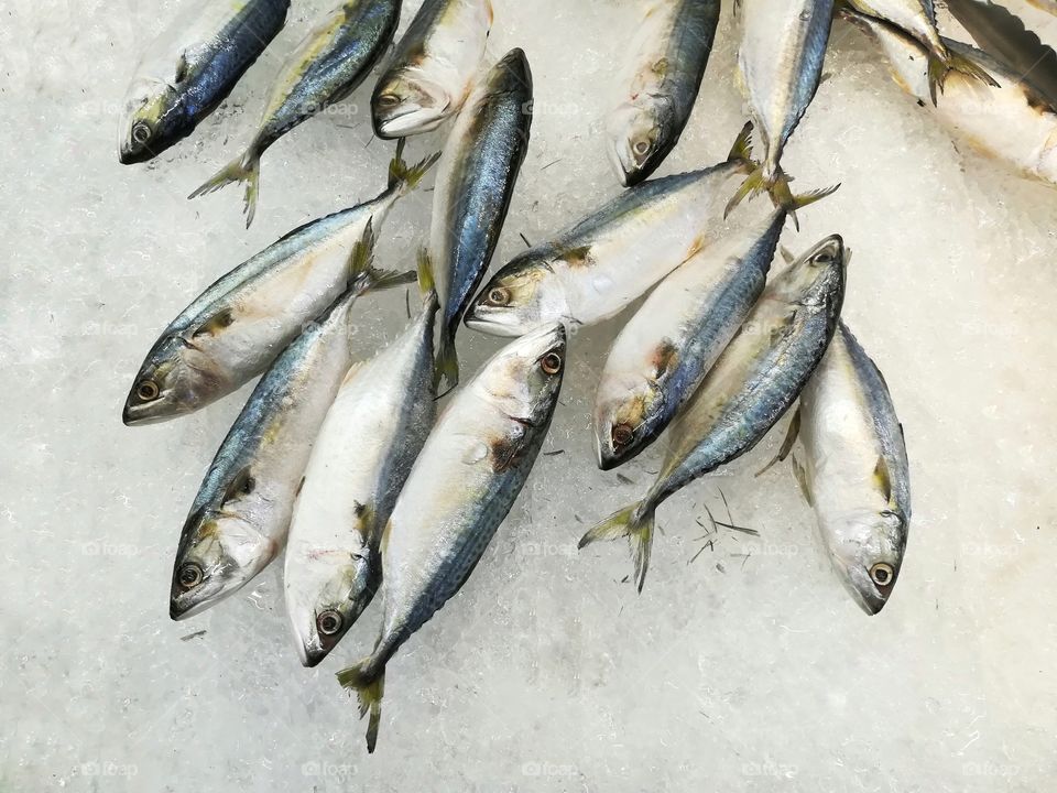 Frozen fish on the ice at supermarket. Fish market.