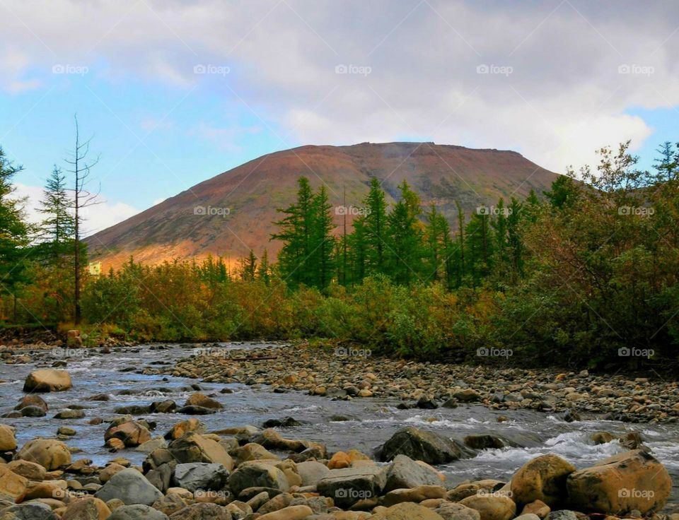 Красота природы