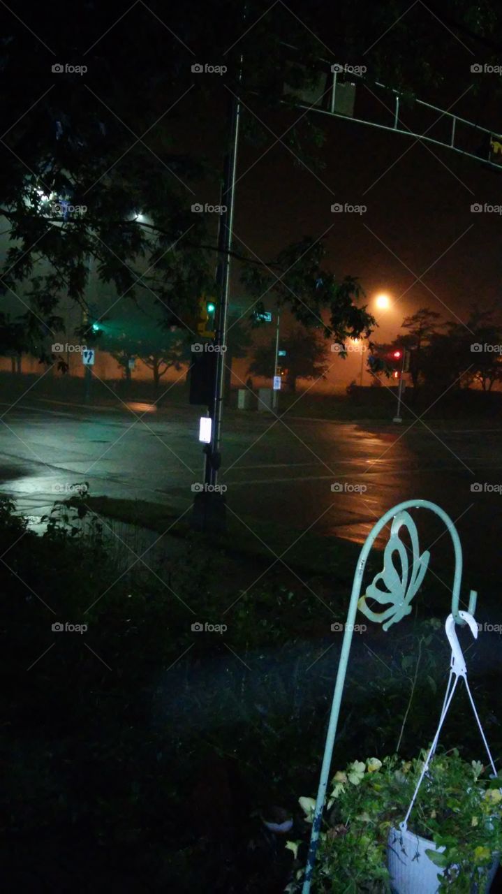 Early Morning Fog & Drizzle 2. Another angle that includes part of a shepherd's hook. Taken about 4:30 a.m. in Racine, Wisconsin.