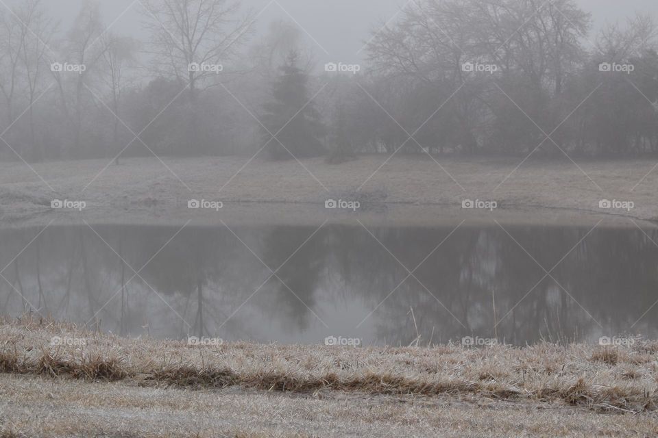 A cold foggy morning with ice covering everything 