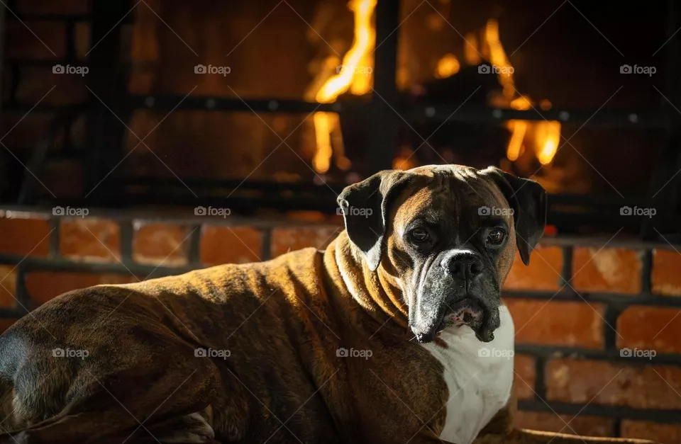 Warm boxer 