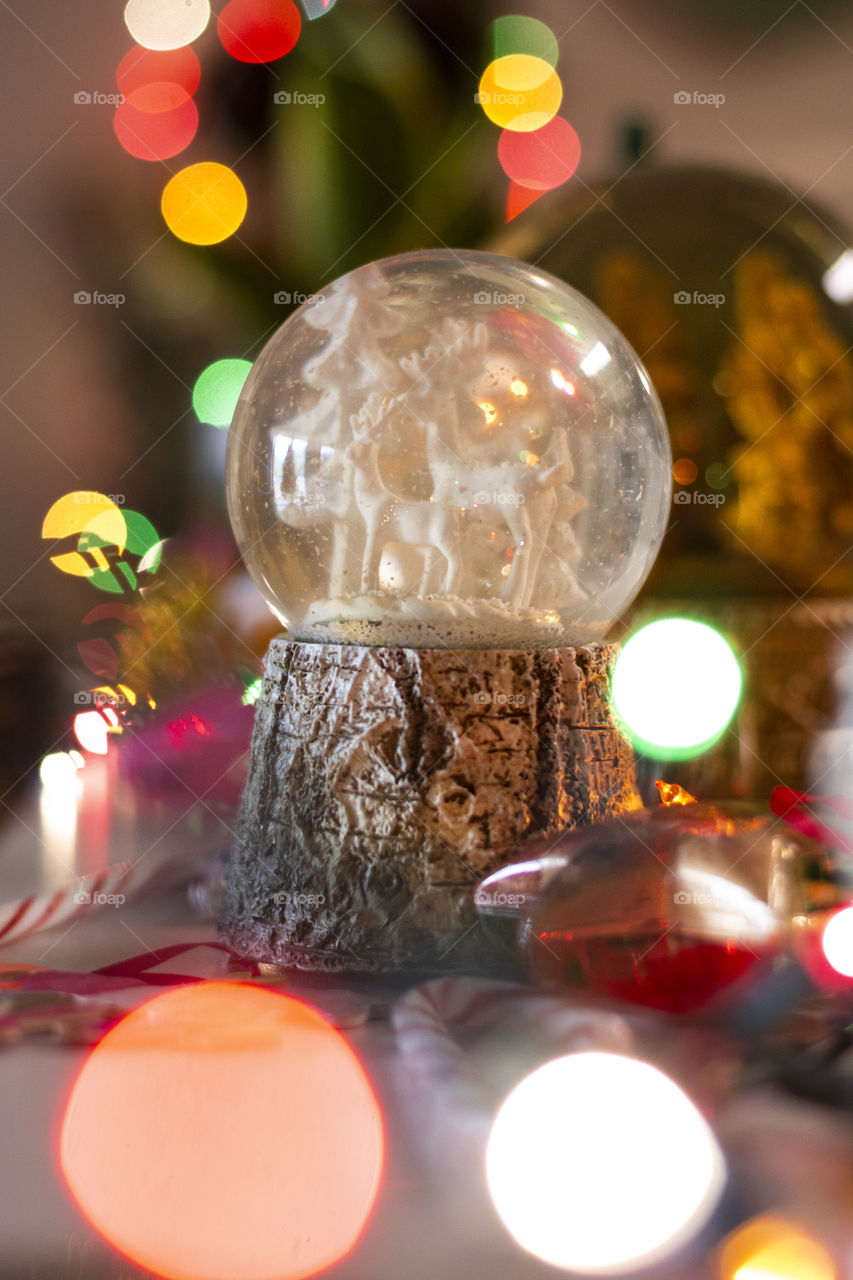 Collecting snow globes is a fun festive tradition throughout the world for the holiday season here’s a reindeer winter land snow globe 